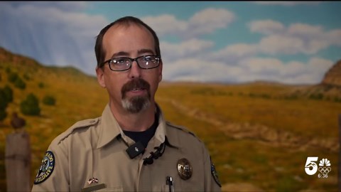 CPW releases orphaned bear cubs found after months of rehabilitation efforts