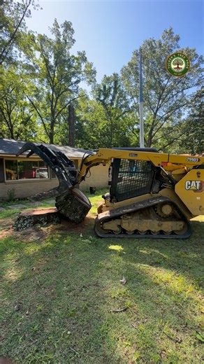 1.3K views · 13 reactions | What it takes to get the job done right! #LandClearing #TreeWork #TreeRemoval #ForestryMulching #StumpGrinding #BrushClearing #Excavation #SitePreparation #TreeService #goals #comedy #views #business #amazing #alert #safe | Tuckers Tree Pros | Facebook