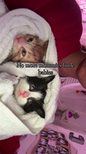 They don't cuddle with me anymore