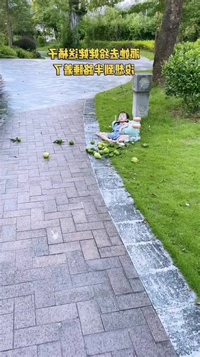 1M views · 4.1K reactions | #funnybaby #baby #funnyvideos #funnycat #funny #fun #catsofinstagram #funnymemes #funnydog #funnyanimals #sofun #memes #memesoftheday #makingmemories #dogstagram #cat #memes4life #instafun #babyboy #dog #babyfashion #cute #mommy | Hanne Jacobs | Facebook