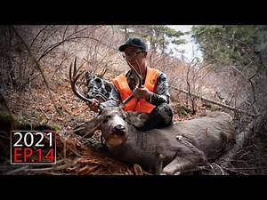 Mountain Meat - Washington Public Land Rifle Mule Deer Hunt | 2021 Hunting Season EP.14