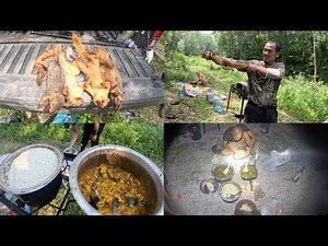 BIG FOX Squirrel (Missouri squirrel hunting Catch & Cook)