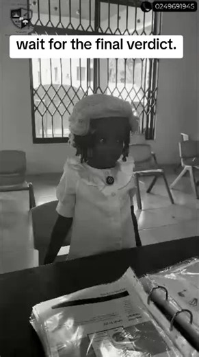 Senior Lawyers at Serwaa Amihere's Law Firm