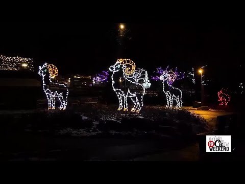 Enjoy the Holiday Lights at the Akron Zoo