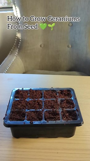 Plantflix Seeds on TikTok