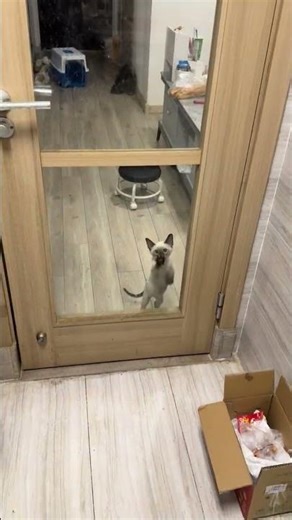 Unveiling the Secret to Crystal Clear Glass in Little Siam