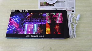 Horseneon Green Alien Neon Sign - Dimmable Neon Signs for Wall Decor Game Room Decor Cool USB Light Up Sign LED Sign for Man Cave,Teen Room,Wall Decor,Bedroom,Home Wall,Party Light