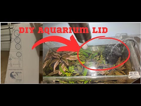 How To Make an Easy DIY Aquarium Lid (Works for rimless tanks)