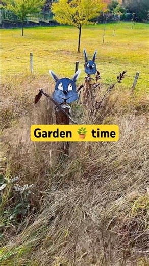 Slow Garden Day – Cartoon Style 🌿