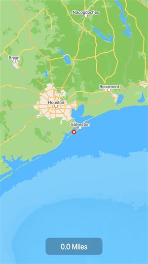 It’s WEDDING DAY in Cozumel for Anne and David! #harmonyoftheseas #destinationwedding | David S Dawson