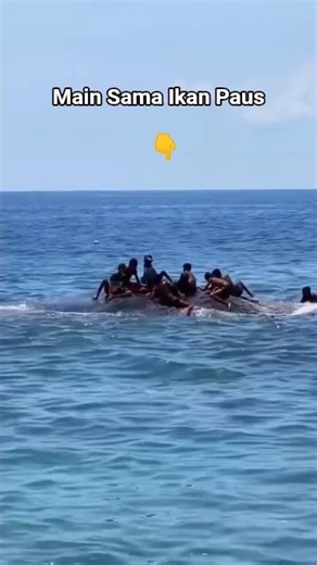 Sekumpulan anak bermain naik ikan paus