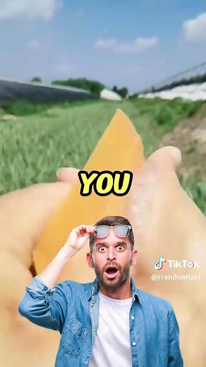 Explore Fascinating Random Facts to Enhance Knowledge