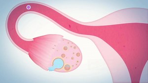 146 reactions · 24 shares | Download application-Cherry, take care of menstrual health！ record menstrual cycle ⏰remind special events related experience sharing | Period Calendar Cherry | Facebook