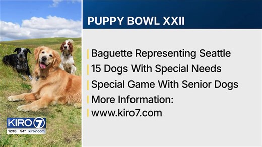 Video: 150 dogs to be featured in Puppy Bowl