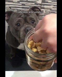 369K views · 10K reactions | Esa mirada y su tranquilidad 凉 | Troll Ngoại Hạng | Facebook