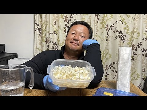 たった100円で「高級にんにくスプラウト」が栽培できる（収穫まで2週間）【にんにく栽培】22/10/6