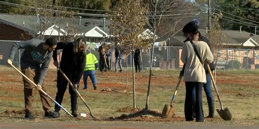 Community tree planting aims to expand Huntsville’s tree canopy