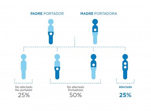 FIBROSIS QUISTICA - FQ EUSKADI