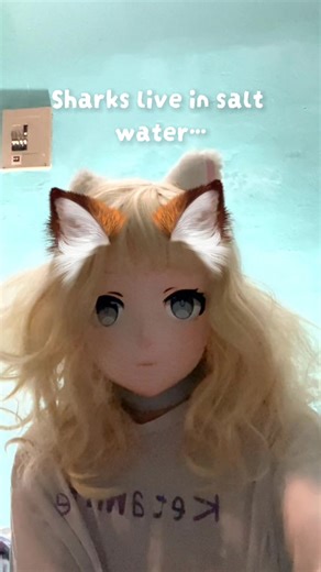 Exploring Sharks in Real Life