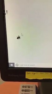 20K views · 27 reactions | I don't know why but I could watch this all day... ️ | Metro | Facebook