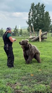 101K views · 2.6K reactions |  Berkley Bear turns 8½ today! 療...