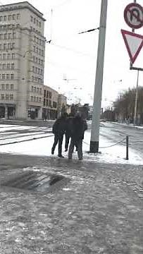 Antifa greift erneut Infostand der AfD mit Eisbällen am Albertplatz an