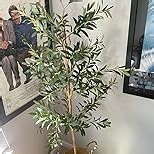 Faux Olive Tree 5FT – Tall Artificial Plants Indoor with Real Wood Trunk & Seagrass Basket, Lifelike Silk Leaves & Fruits – Potted Large Fake Trees for Home, Living Room, Bedroom & Office Decor