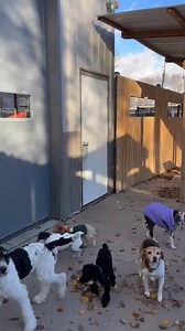 Fast Tracks on Reels