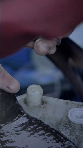 Sobre el Pez Raya #jeremywade #pesca