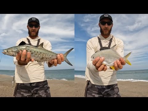 Surf Fishing Fort Fisher, NC! Pompano and Spanish Mackerel.