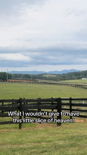 #blueridgemountains #harvesthost #harvesthostcamping #stonebridgeequestriancenter #blueridge