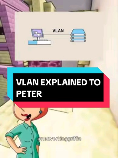 VLAN Explained by Lois & Peter: Networking Made Fun