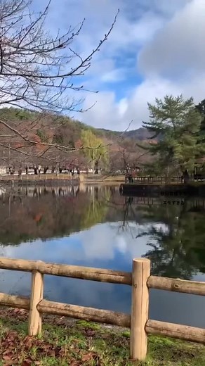 #秋田県横手市 #秋田県 #横手市 #yokote #雪 #旅行好きな人と繋がりたい #旅行 #かまくら #ふるさと #帰りたくなる場所 #横手市観光推進機構#visit #visitjapan #おかえり #春夏秋冬 #おすすめ #えもい #初投稿 #バズりたい