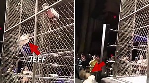 Wrestling Star Jeff Hardy -- Knocked Out Cold After SCARY Fall From Cage (VIDEO)