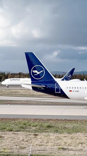 Smooth Landing of Lufthansa Dreamliner | Flight Radar LH 451