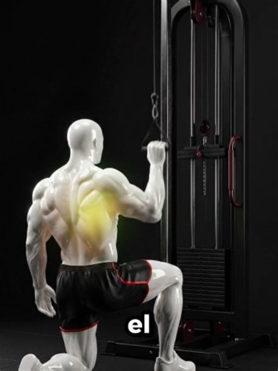 ¿Sabías que solo necesitas cuatro ejercicios para trabajar tu espalda por completo? Aprende a combinar amplitud y grosor con esta rutina explicada paso a paso. #RutinaEspalda #GymTokEspañol #EspaldaEnV #EntrenamientoInteligente#usa