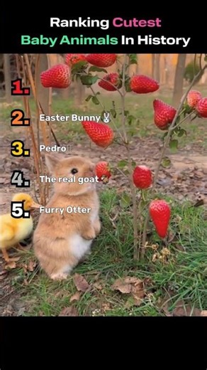 DO YOU AGREE? 😍😍FOLLOW ‪@alien_hot_takes‬