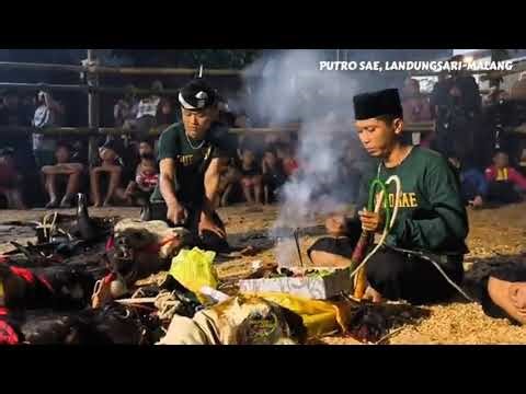 Hibridisasi Budaya Bantengan Lokal