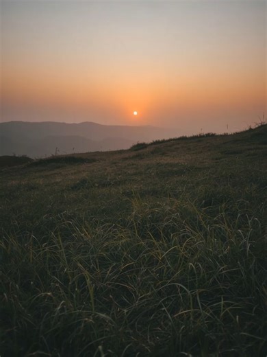 ️ (@thecalmalgorithm)’s videos with fine line - .