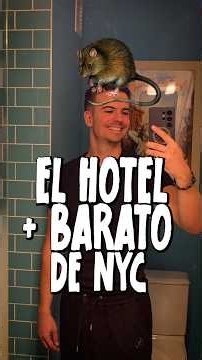 Me alojé en el hotel + BARATO de Nueva York 🐀