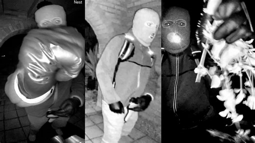 FBI releases description of suspect in Nancy Guthrie disappearance