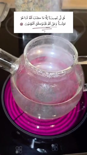 Eva Talia (@safaalkhateeb915)’s videos with الصوت الأصلي - Eva Talia