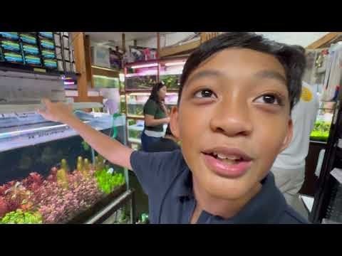 Basti Visits Cartimar Pet Shop for the First Time!