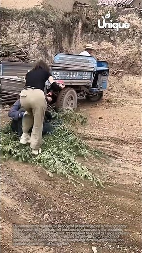 Watermelon break: people eating watermelon on a pile of greenery