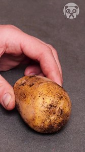 Growing Roses | Crafty Panda