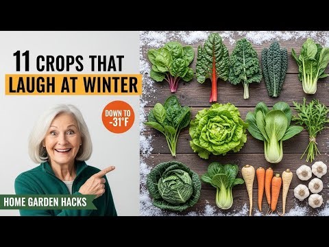 11 Crops That Survive Extreme Cold Down To Minus 31 Degrees