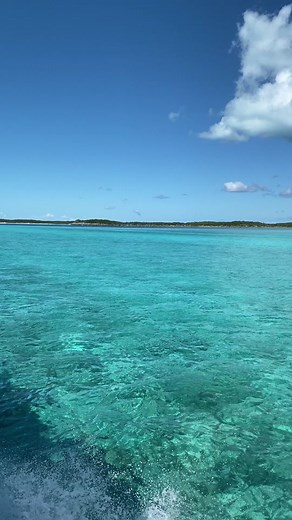 5 things you cannot miss when visiting the Bahamas 🇧🇸 #bahamas #travel #traveltiktok #travelbucketlist #exuma #exumabahamas #pigisland #nurseshark #fishfry #iguanaisland