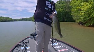 You guys like frog blowups? Wanna see one? Of course you do. Michael Neal has been going old-school here at Smith Mountain Lake this week. On Day 1 he did a bunch of damage on a spinnerbait. Today, it’s been a buzzbait and frog. He’s not the only pro fishing that way at B&W Trailer Hitches Heavy Hitters Presented by Bass Pro Shops, but he’s been one of the most effective – and it’s fun to watch. #Fishing #BassFishing #Trailsetter Visit Franklin County, Virginia Visit Virginia's Blue Ridge | Majo
