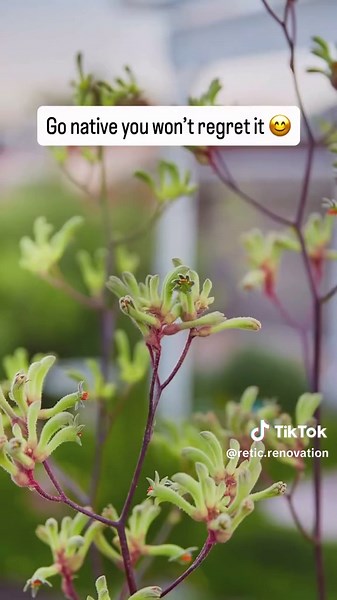 Retic.Renovation on TikTok