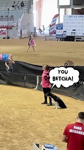 Agility Start Line Multitasking? I think This! decided there was a lot of extra time spent waiting in agility that she maybe could make better use of by making new friends. Perhaps we should all be a little more like This! #ThisDog #SocialButterfly if you want to see how this run went for us comment “squirrel!” | Susan Garrett's DogsThat